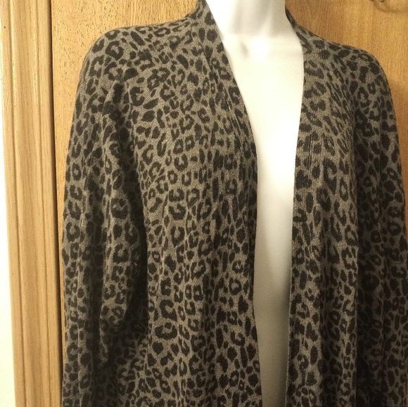 TERRA & Sky - Picture 2 of 3